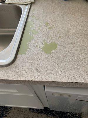 Absolutely Amazing Refinishing