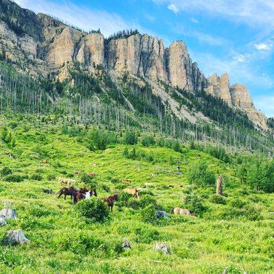 K Bar Z Guest Ranch & Outfitter