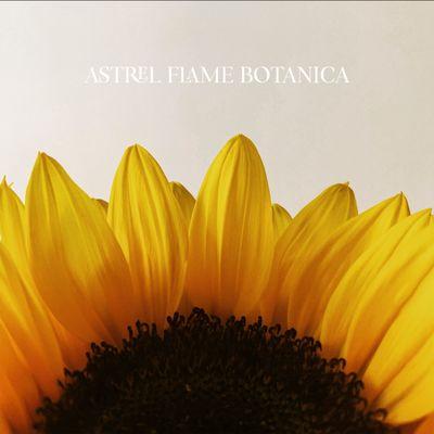 Astrel Flame Botanica