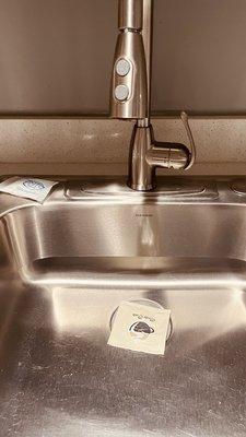 Covering gross slimy drain to keep drain flies out