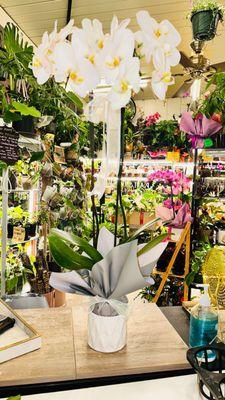 Si Hardinera Plant & Flower Shop