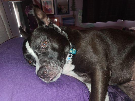 Lela says thank you Dr. Carter, see you next month!!!