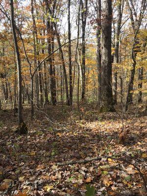 Kih Clay Wildlife Management Area