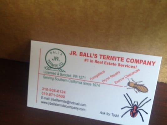 JR Ball Termite