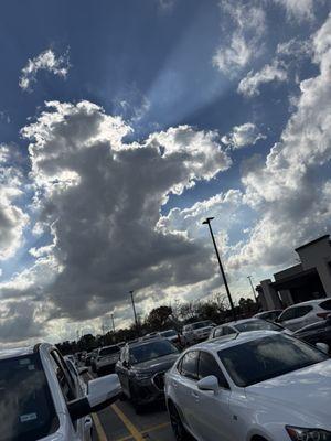 I parked a long way. The store was crowded as it was right before Christmas and at lunch time.