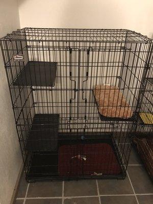 Leiter's Country Kennel
