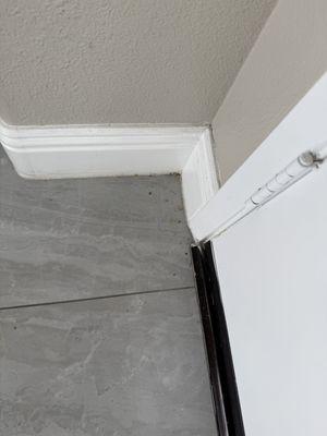 Neira's House Cleaning Services