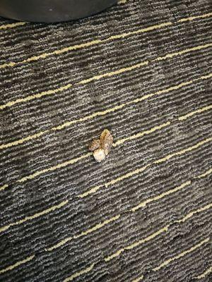 Ramada by Wyndham Ontario