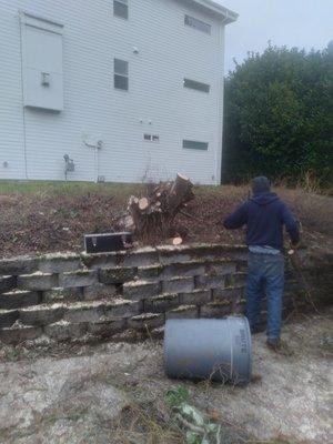 Low Rate Hauling & Yard Clean Up