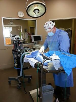 Dr. Tooke in surgery