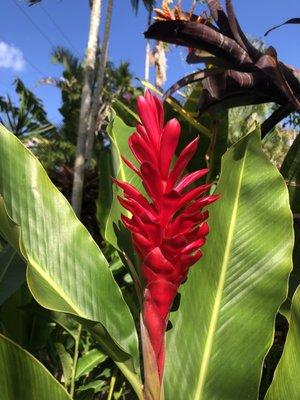 James T. Barker Park