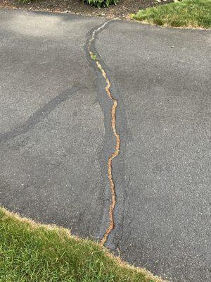 Advanced Seal Coating