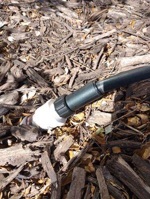 Coyote Lawn Services