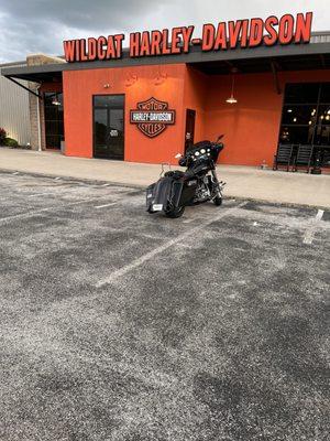 Wildcat Harley-Davidson
