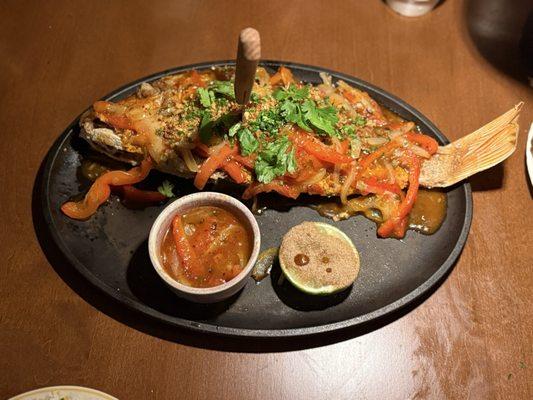 Red snapper