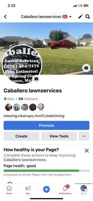 Caballero Lawn Service