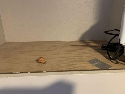 Peach pit? Left in the room?