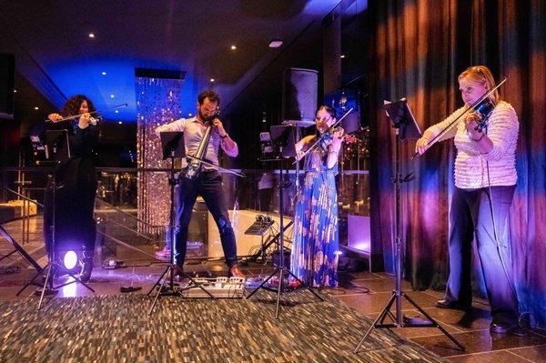 Elegance String Quartet