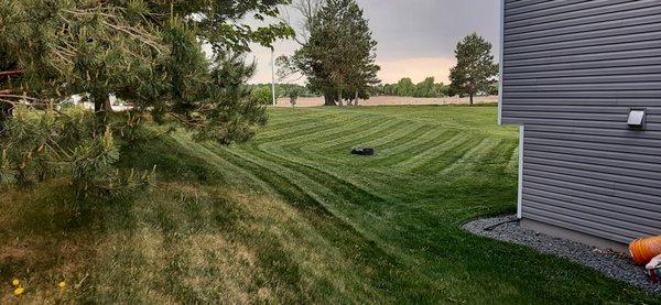 Better Recognized Lawn Care