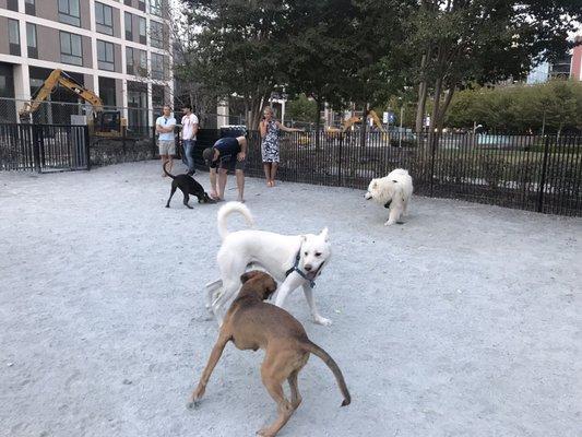 Navy Yard Bark and Go Park