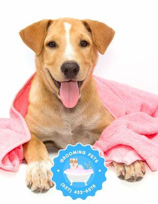 Grooming Pets
