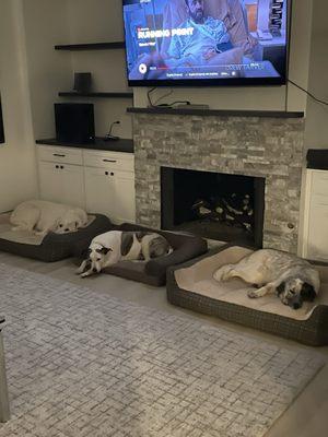 Annie's Dog Walking & Sitting