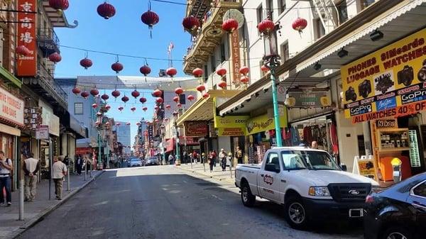 Dewey Pest & Termite