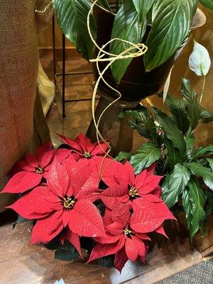 St Nicholas Catholic Church