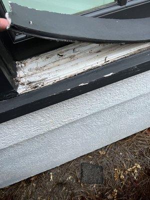Diversified Stucco Services
