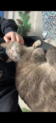 Hillside Auto Repair