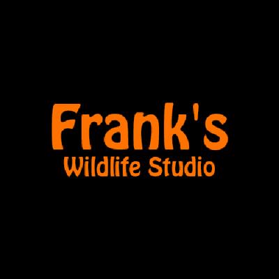 Frank's Wildlife Studio
