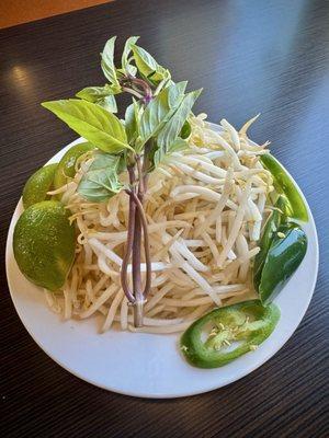 Phở Noodle Bar