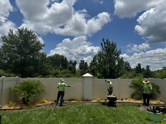 Joey's Weeding and Landscaping