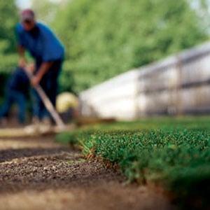Sod Installation Orlando