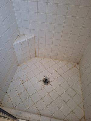 Tile Repair Service