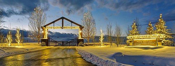 Aspen Tree Service Steamboat Springs