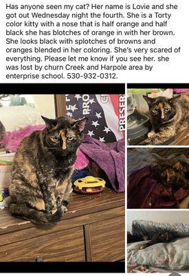 Another Chance Animal Welfare League