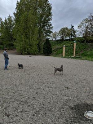 Blue Dog Pond Off-Leash Area