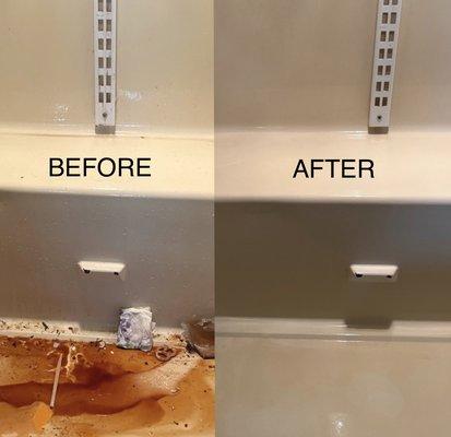 Check Maid Cleaning Services