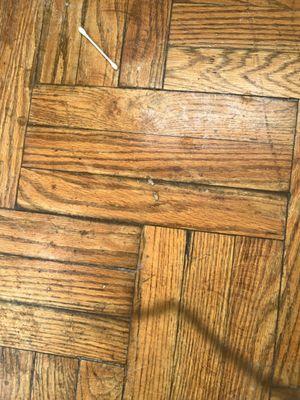 Stallard & Associates