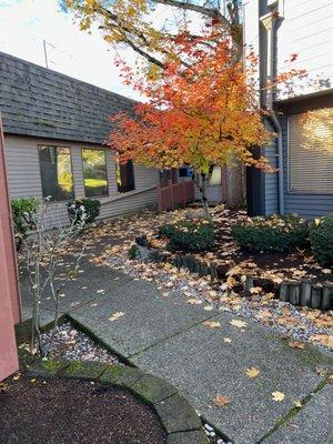 Barbara Norton, MS  LPC