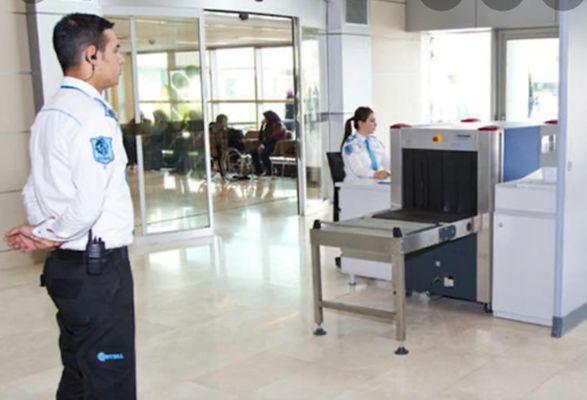 Top Guard Professionals Inc