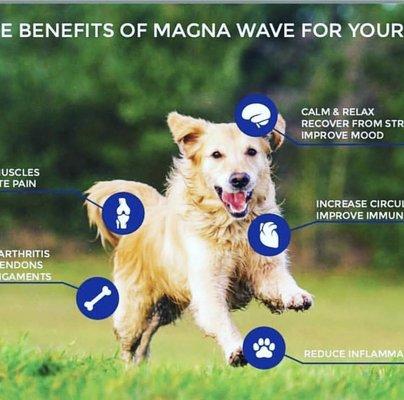 Magna Wave San Diego