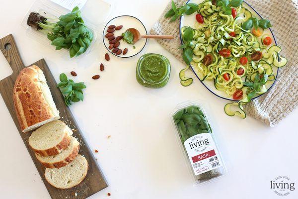 North Shore Greenhouses