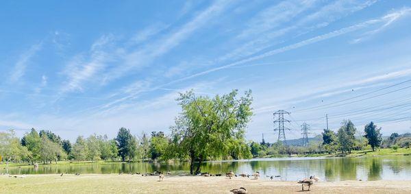 Legg Lake Park