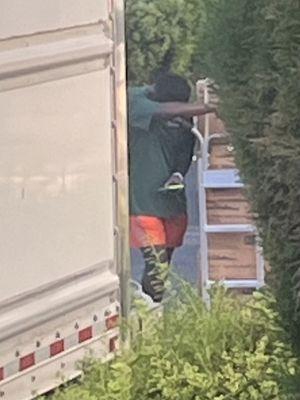 All My Sons Moving & Storage