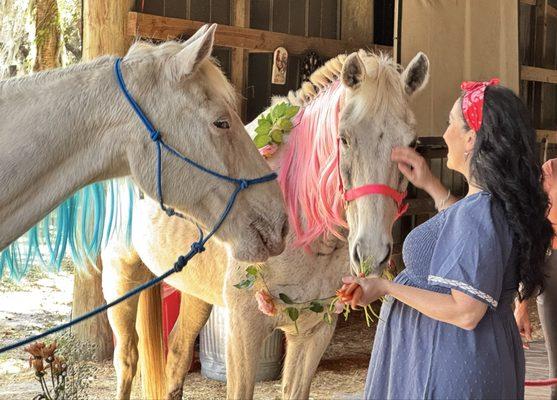 Painted Oaks Academy