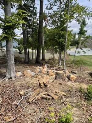 PNW Roots Landscaping