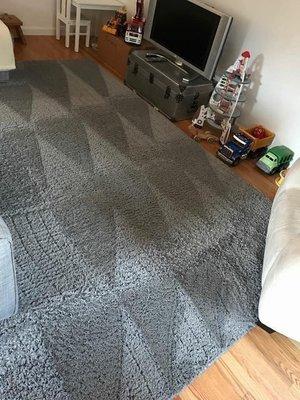 V&C spring cleaning services