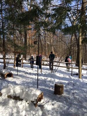 Feeding chickadees